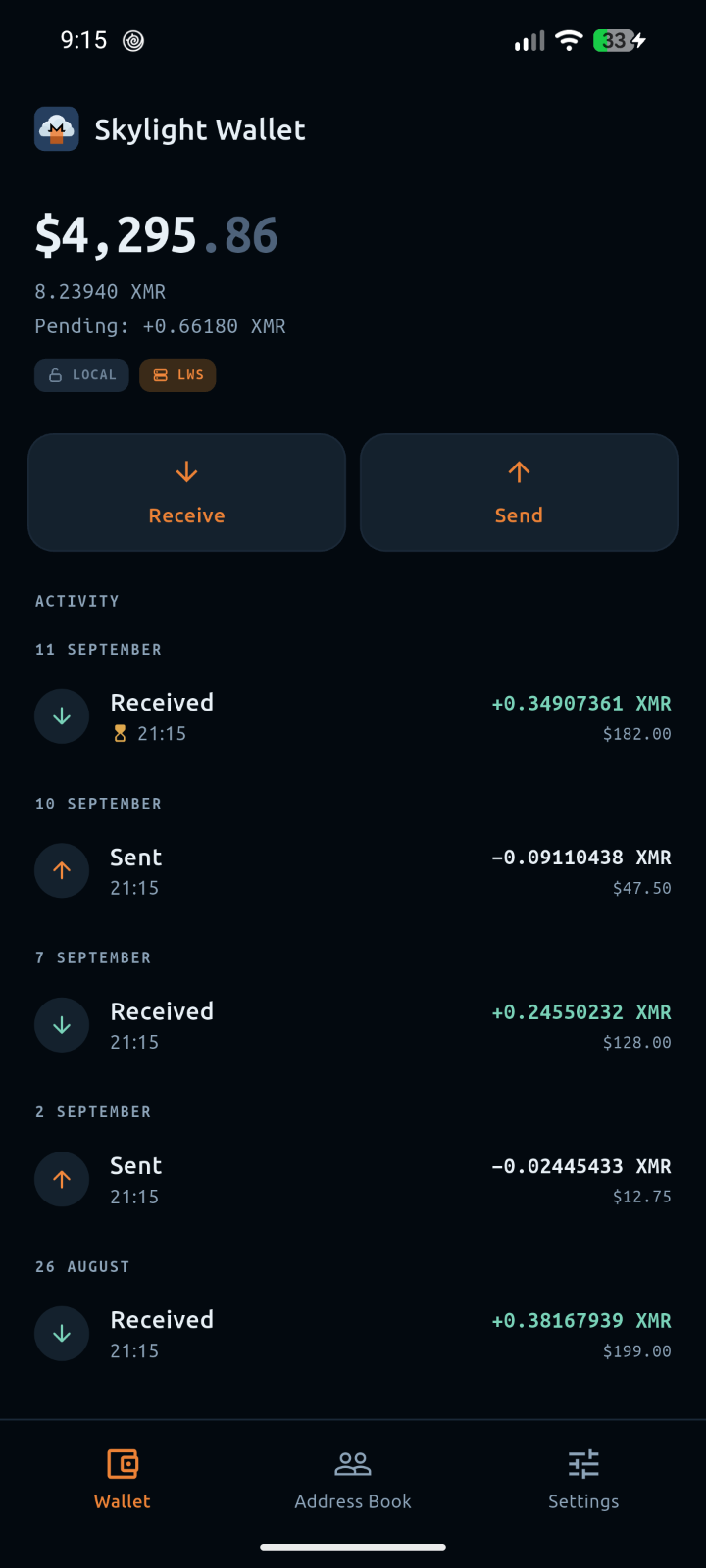 Skylight Wallet home screen in the dark theme